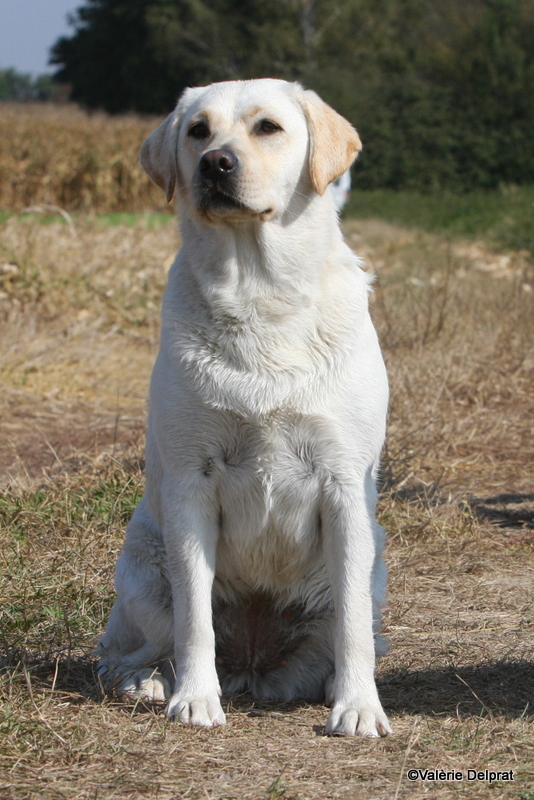 Field Erstein 09 (160).JPG